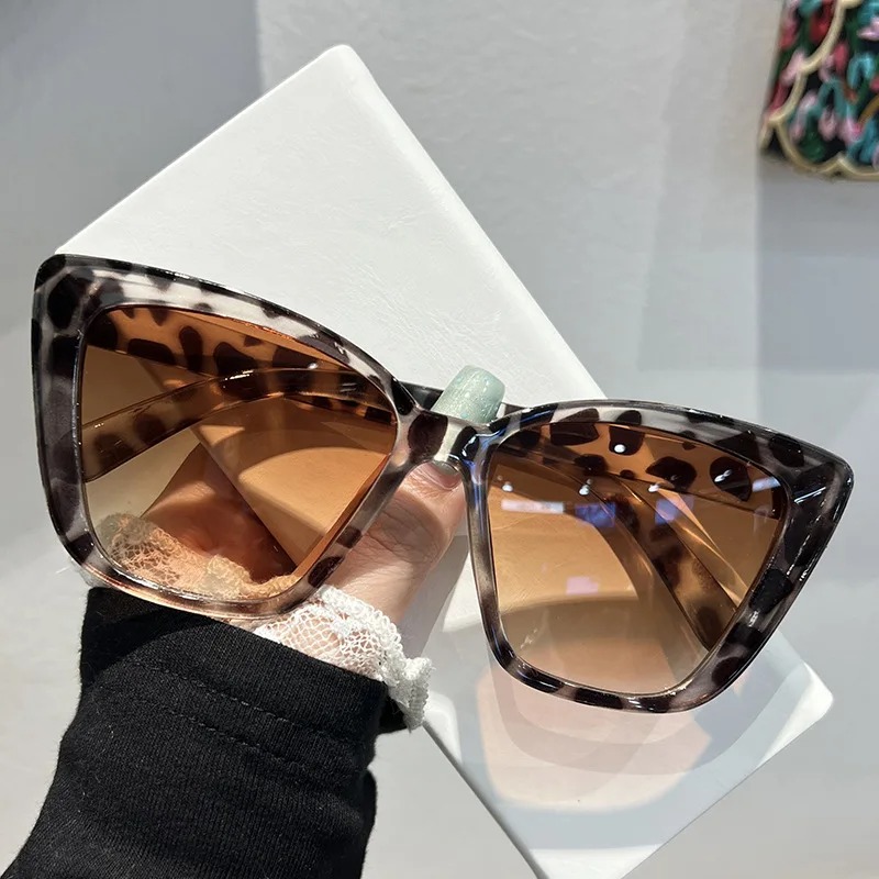 Trendige Cat-Eye-Sonnenbrille  – Sunglasses Cat Eye Bewertung und Preis